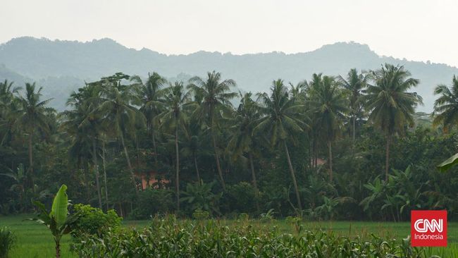 Siapa bilang Kulon Progo tak punya destinasi wisata menarik? Ada beragam rekomendasi wisata Kulon Progo yang bisa Anda nikmati.