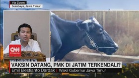 VIDEO: Vaksin Datang, PMK di Jatim Terkendali?