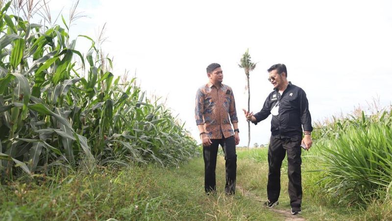Menteri Pertanian Syahrul Yasin Limpo (Mentan SYL) meninjau perkembangan lahan jagung uji coba dua tongkol di Desa Bontonompo, Kabupaten Gowa, Sulawesi Selatan.