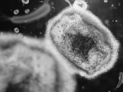 Peneliti Temukan 'Virus Zombie', Benarkah Manusia Bisa Jadi Mayat Hidup Seperti di Film?