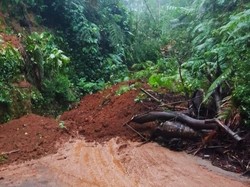 Jalur Ijen Tertutup Longsor, Akses Jalan Diberlakukan Sistem Buka Tutup