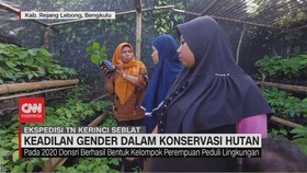 VIDEO: Keadilan Gender Dalam Konservasi Hutan