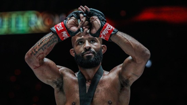 Demetrious Johnson dianggap jadi seniman bela diri campuran terhebat karena meraih 12 gelar juara dunia MMA,  Kejuaraan ONE Flyweight World Grand Prix.