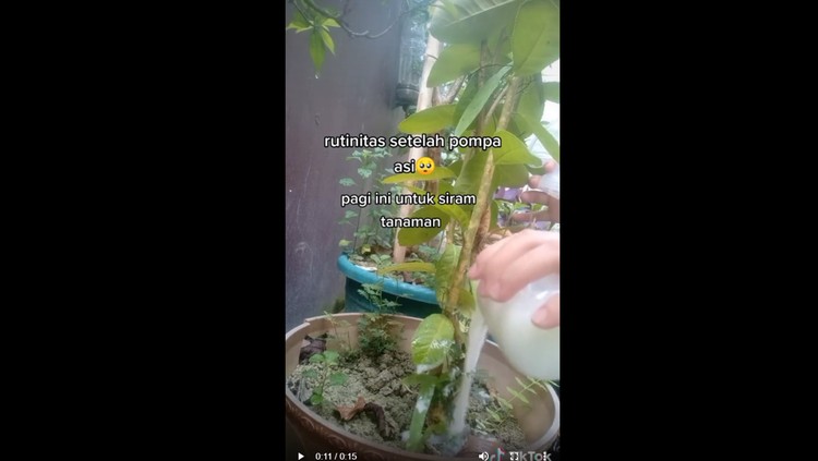 Viral Menyusui