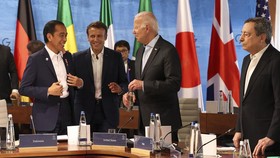Jokowi Minta Dukungan Negara G7 Fasilitasi Ekspor Gandum Ukraina