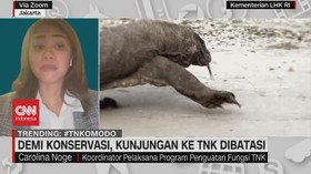 VIDEO: Demi Konservasi, Kunjungan Ke TNK Dibatasi