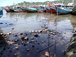 Tumpahan Minyak Berceceran di Perairan Cilacap, Pertamina Cari Penyebabnya