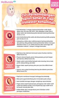 Ciri Perkembangan Janin Sehat Di Tiap Trimester Kehamilan