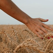 4 Makanan yang Diprediksi Akan Dikonsumsi Manusia di Tahun 2050, Intip Apa Saja Yuk!