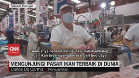 VIDEO: Mengunjungi Pasar Ikan Terbaik di Dunia yang Ada di Portugal