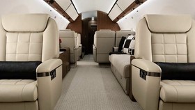 Layanan Jet Pribadi Ini Siap Mengantar Anabul untuk Liburan