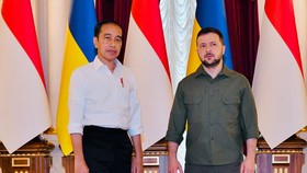 Ukraina Pesimistis Misi Damai Jokowi Bisa Buat Putin Setop Perang