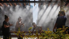 FOTO: Sengat Gelombang Panas Terparah di Tokyo dalam 1,5 Abad
