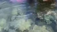 <p>Dalam unggahan Instagramnya, Ryan terlihat menemani Ricis nih Bunda. Ryan juga menuliskan tentang Ricis yang membawa Baby R berenang. (Foto: Instagram @riaricis1795)</p>