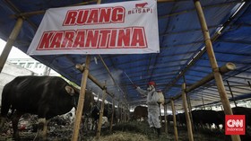 FOTO: Penyemprotan Disinfektan Nasional Cegah PMK