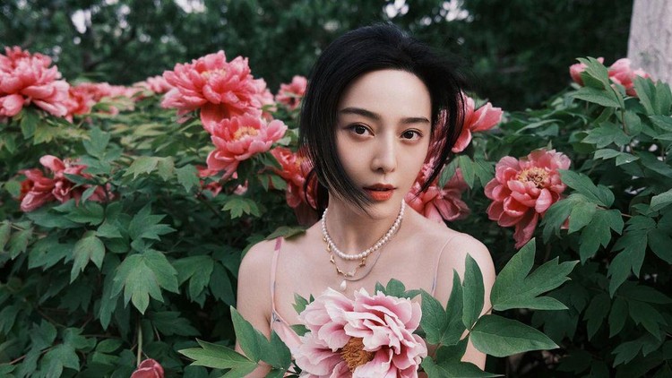 Fan Bingbing Fan Bingbing