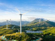 Macam-Macam Energi dalam Kehidupan