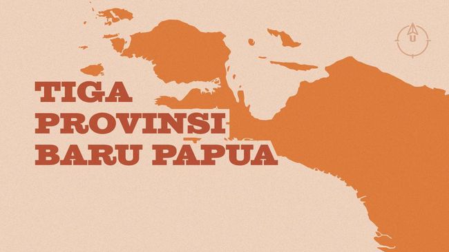 Infografis Tiga Provinsi Baru Di Papua Passiontoprofit 2077