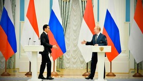 Jokowi ke Putin: Tak Ada Kepentingan Lain Hanya Ingin Perang Berakhir