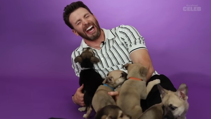 Puppy Interview! Bintang Lightyear, Chris Evans Jawab Pertanyaan Sambil Bermain dengan Anak Anjing Puppy Interview! Bintang Lightyear, Chris Evans Jawab Pertanyaan Sambil Bermain dengan Anak Anjing