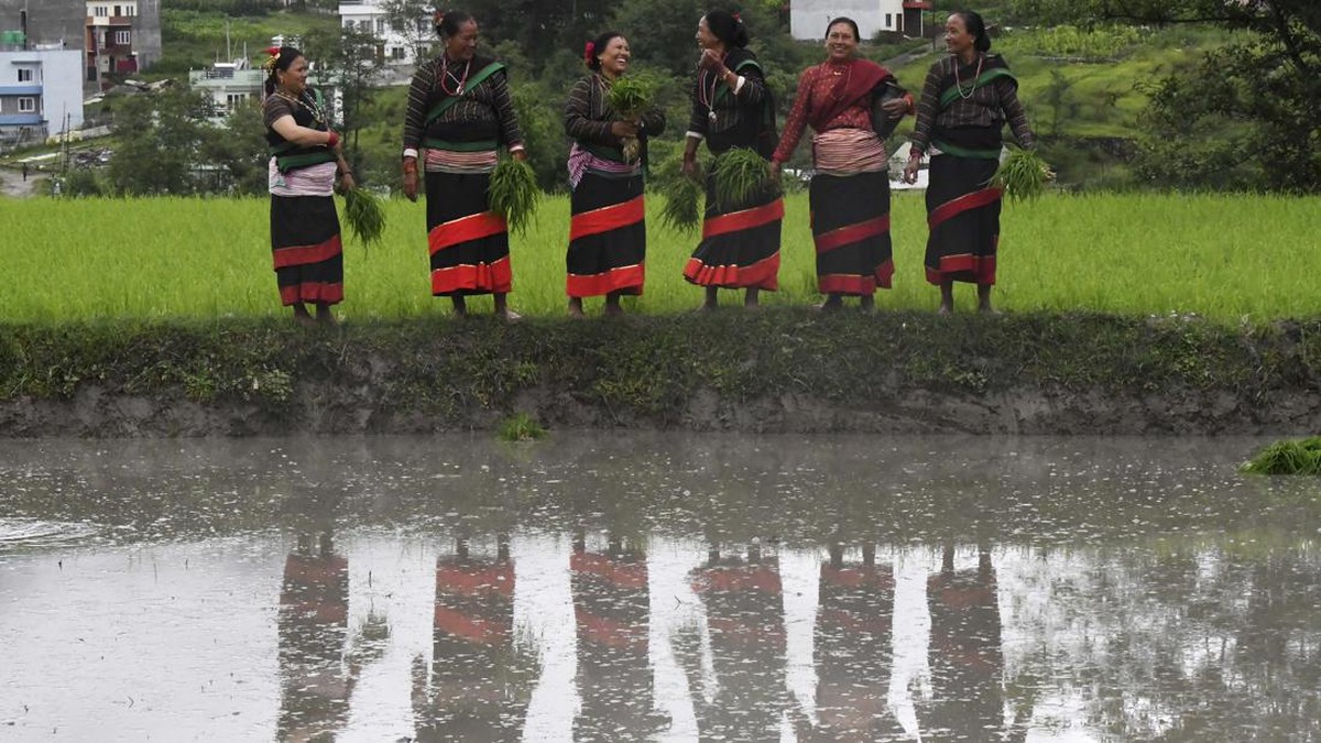 FOTO: Nepal Memulai Musim Tanam dengan Hari Padi Nasional