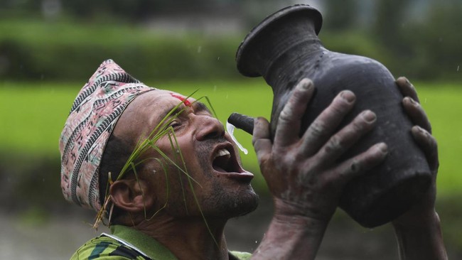 FOTO: Nepal Memulai Musim Tanam dengan Hari Padi Nasional