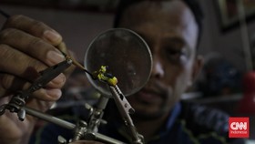 FOTO: Mengeruk Cuan dari Bisnis Miniatur