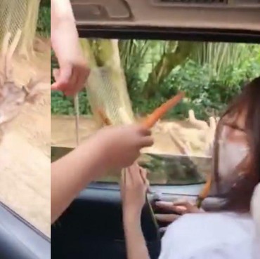 Calon Hot Papa! 7 Potret Sabda Ahessa Liburan Bareng Anak Wulan Guritno