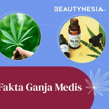 img-title 3 Fakta Ganja Medis yang Perlu Kamu Ketahui