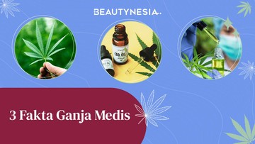 img-title 3 Fakta Ganja Medis yang Perlu Kamu Ketahui