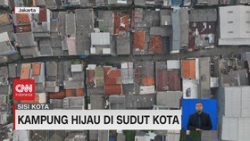 VIDEO: Kampung Hijau di Sudut Kota