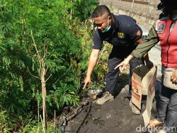 Heboh Temuan Dikira Jasad Bayi, Ternyata Bangkai Kucing Terbungkus Kafan