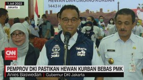 VIDEO: Pemprov DKI Pastikan Hewan Kurban Bebas PMK