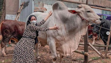 img-title Pertama Kali Rayakan Iduladha Bareng Suami, Ria Ricis Kurban 3 Sapi