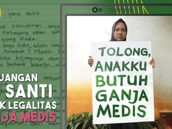 Legalisasi Ganja Medis Demi Sang Buah Hati