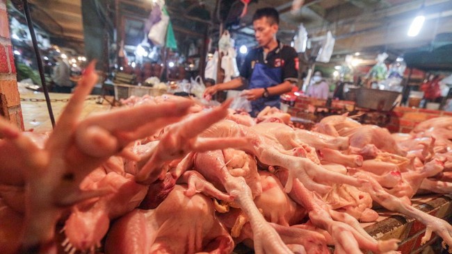 Harga daging ayam masih terpantau melesat hingga Rp45 ribu per ekor di pasar tradisional Jakarta hingga Depok usai Lebaran 2023.