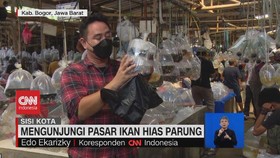 VIDEO: Mengunjungi Pasar Ikan Hias Parung