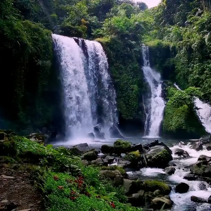 <p>Menurut penuturan warga dekat sana, bangunan yang berdiri di samping sawah, dekat Curug Pengantin, dan dikelilingi hutan lebat tersebut ditinggali oleh seorang wanita tua. Dahulu, memang diisi oleh satu keluarga, namun ketika sang suami meninggal, tinggallah dirinya sendirian. (Foto: YouTube Jejak Bang Ibra)<br /><br /><br /></p>