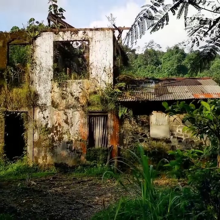 <p>Dilihat dari luar, sepertinya bangunan ini pernah menjadi salah satu hunian bagus, ya? Rumah ini terdiri dari dua lantai dan terbagi menjadi dua bagian. (Foto: YouTube Jejak Bang Ibra)<br /><br /><br /></p>