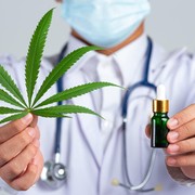 Permohonan Legalisasi Ganja Medis Ditolak MK, Apa Manfaatnya untuk Pengobatan?