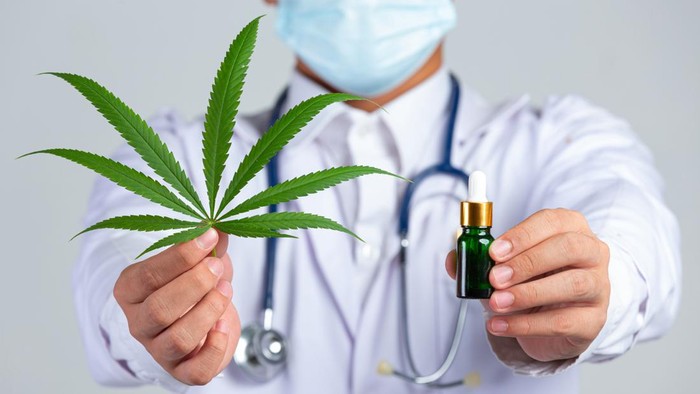 Permohonan Legalisasi Ganja Medis Ditolak MK, Apa Manfaatnya untuk Pengobatan? Permohonan Legalisasi Ganja Medis Ditolak MK, Apa Manfaatnya untuk Pengobatan?