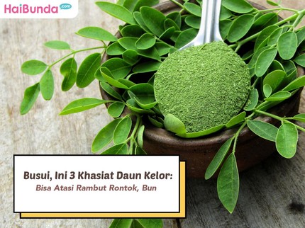 Busui, Ini 3 Khasiat Daun Kelor: Bisa Atasi Rambut Rontok, Bun