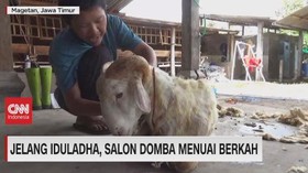 VIDEO: Jelang Iduladha, Salon Domba Menuai Berkah