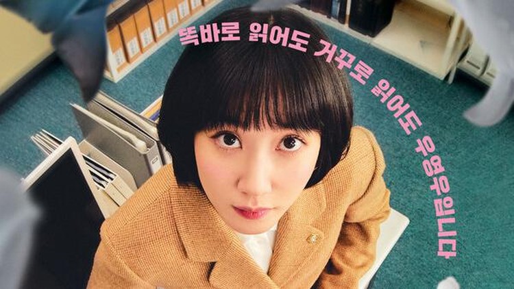 Drama Korea Extraordinary Attorney Woo Drama Korea Extraordinary Attorney Woo