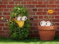 Jadwal Film XXI di Kuta Hari Ini 11 Juli 2022, Minions The Rise of Gru