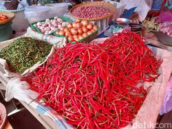 Penurunan Harga Cabai Merah di Medan Berpotensi Sumbang Deflasi