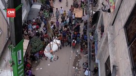VIDEO: Momen Sapi Kurban Diturunkan dari Atap Apartemen 4 Lantai