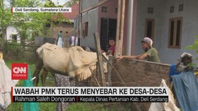 VIDEO: Wabah PMK Terus Menyebar ke Desa-Desa