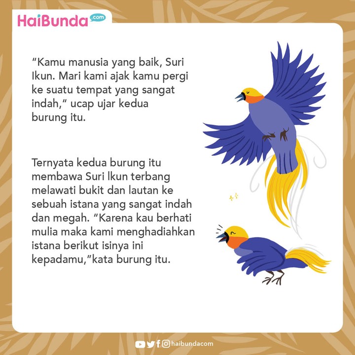 Cerita Nusantara Kisah Suri Ikun dan 2 Burung