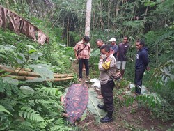Suami di Blitar Ditemukan Istri Tewas Tenggak Racun